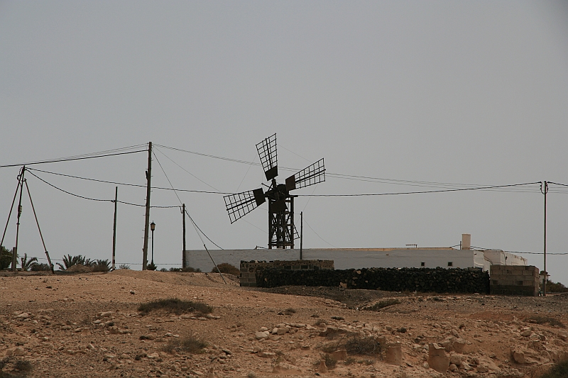 Kanary_2010 137